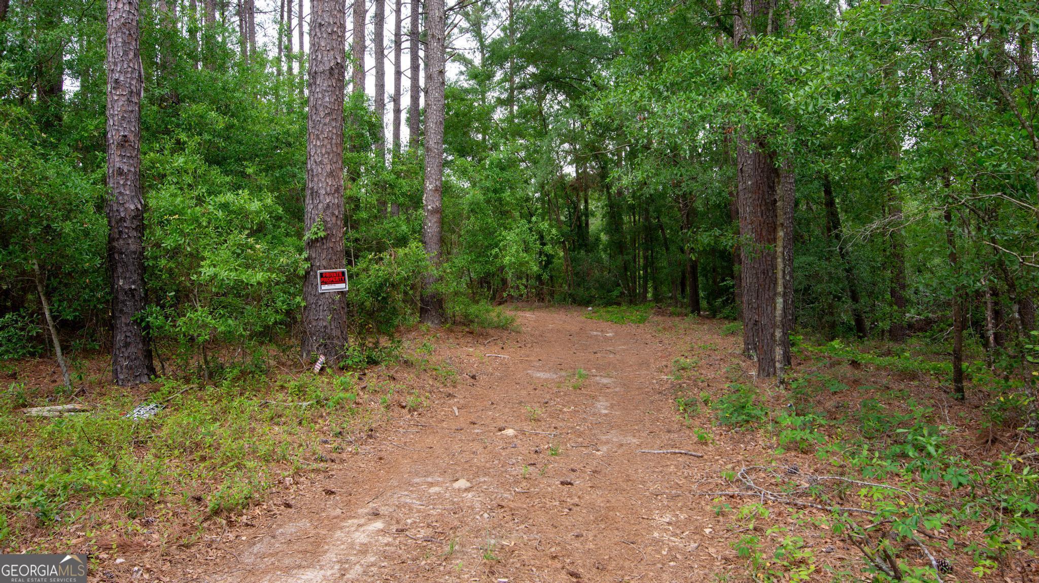 760 Memphis Road Metter, GA 30439 - Photo 2 of 27