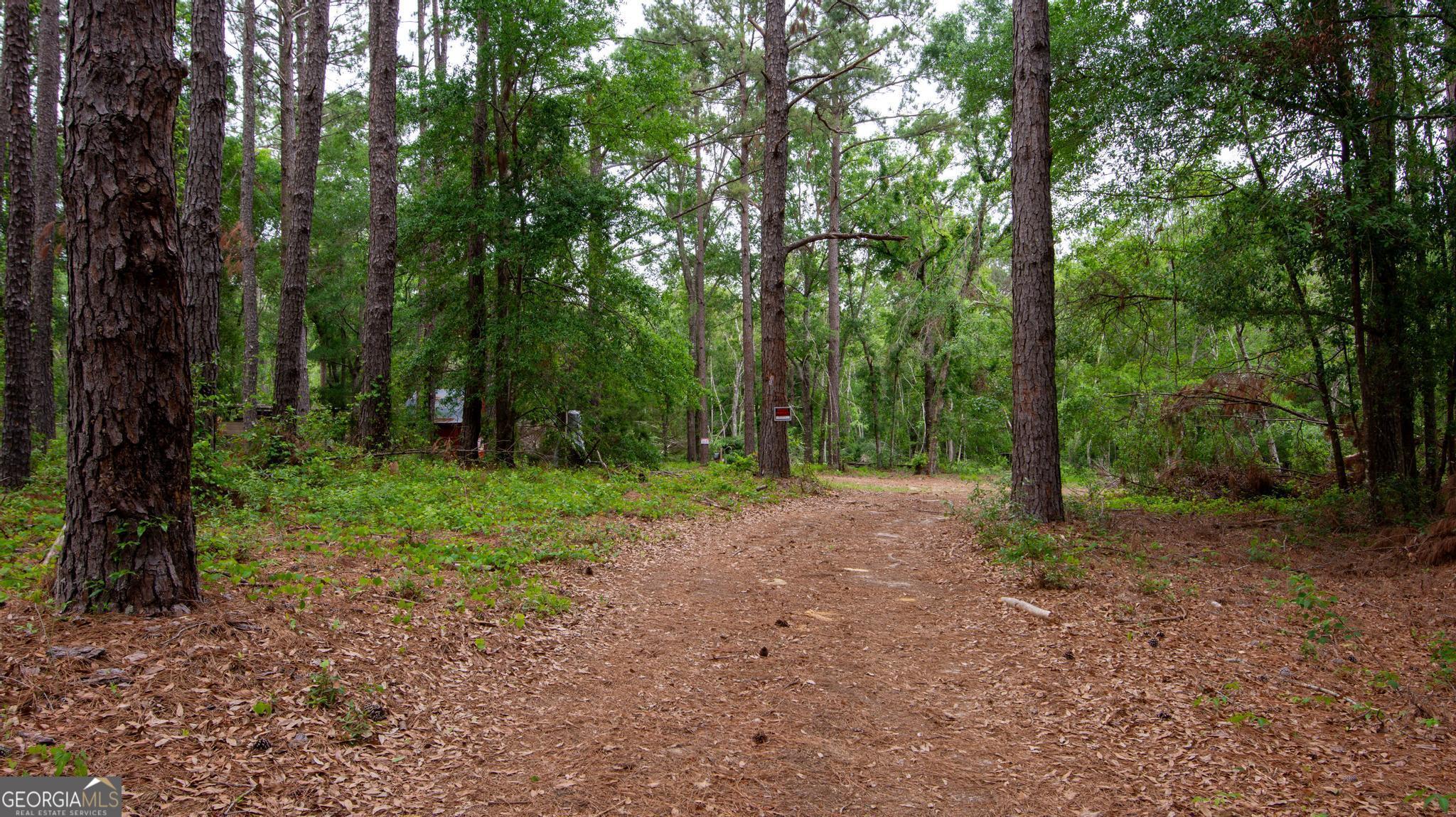 760 Memphis Road Metter, GA 30439 - Photo 3 of 27