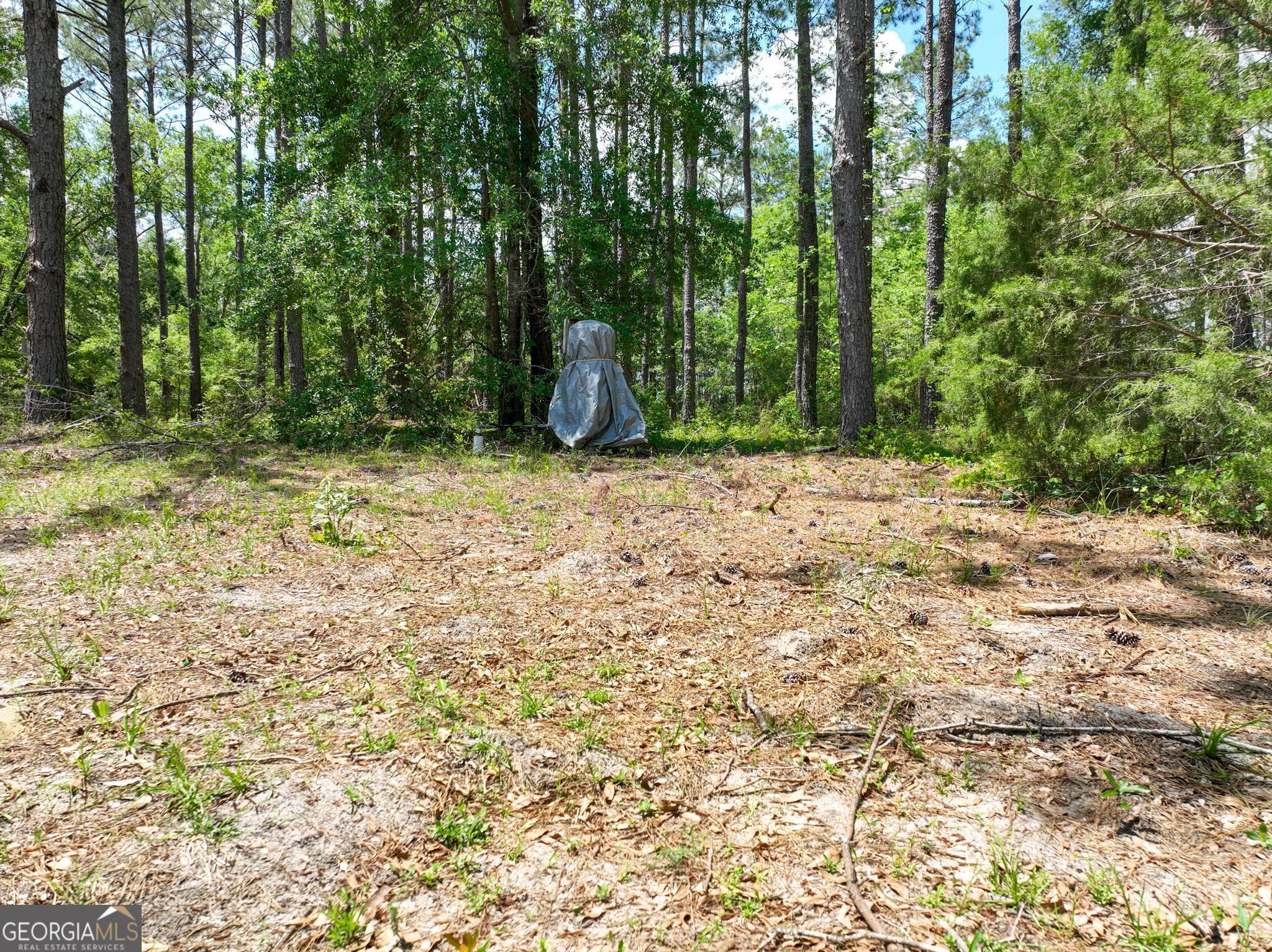 760 Memphis Road Metter, GA 30439 - Photo 8 of 27