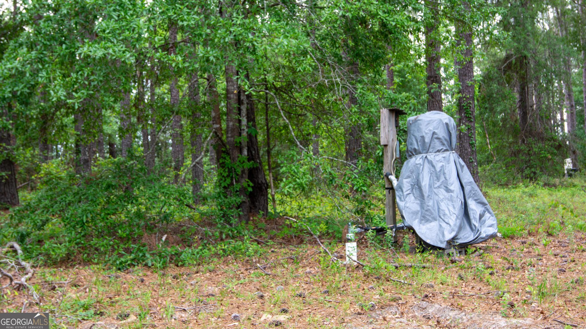 760 Memphis Road Metter, GA 30439 - Photo 9 of 27