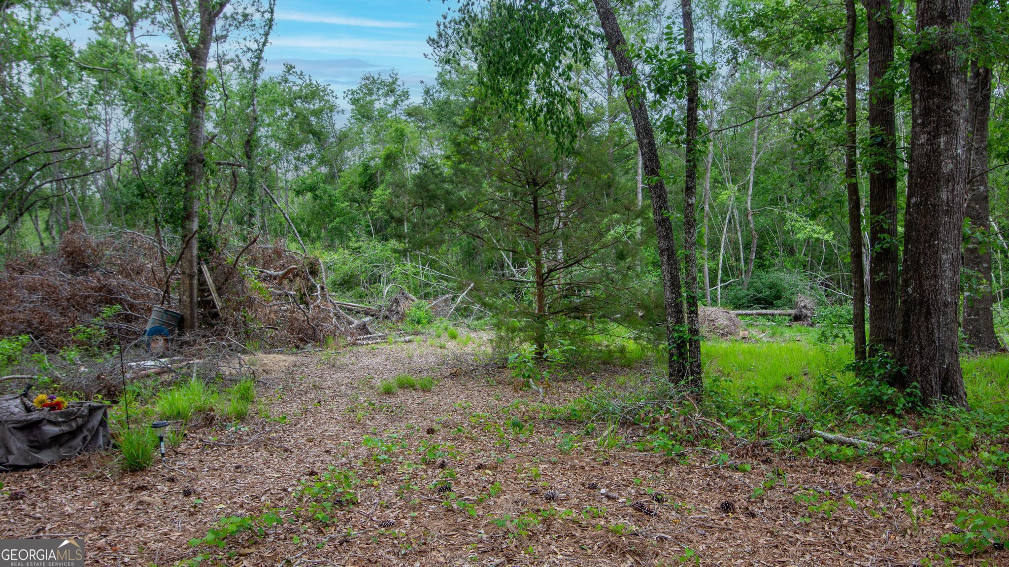 760 Memphis Road Metter, GA 30439 - Photo 10 of 27