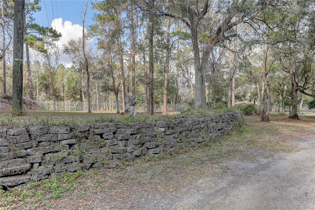 20490 Pinewood Dairy Road Brooksville, FL 34601 - Photo 11 of 52 a view of a yard with large trees