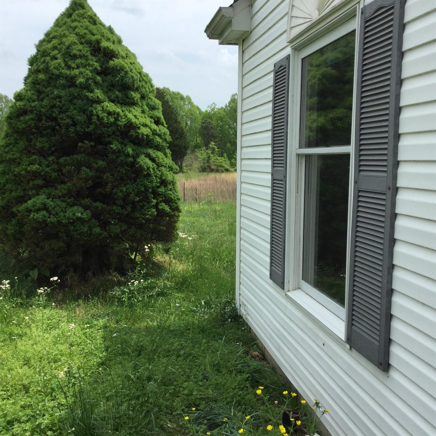 3095 Chaney Ridge Road London, KY 40741 - Photo 18 of 28 Photo 18