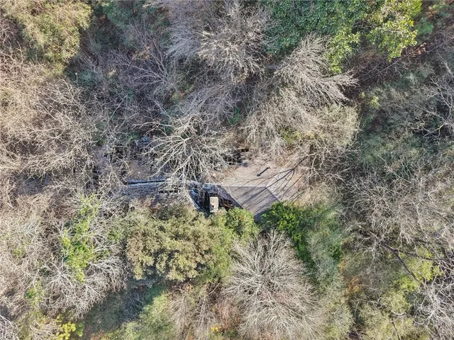 a backyard of a house with lots of plants and large trees