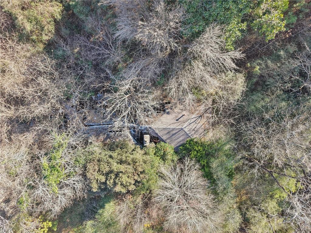 4042 Hearn Road Ellenwood, GA 30294 - Photo 9 of 10 a backyard of a house with lots of plants and large trees