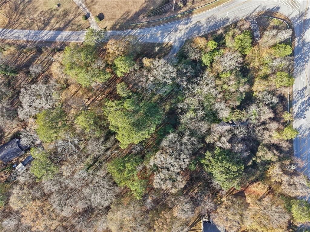 4042 Hearn Road Ellenwood, GA 30294 - Photo 10 of 10 a view of a forest with a tree