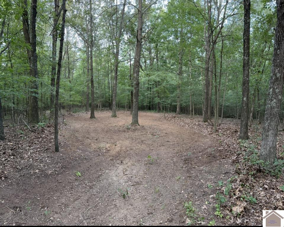 1 Timber Ridge Drive Paducah, KY 42001 - Photo 24 of 32 Photo 24