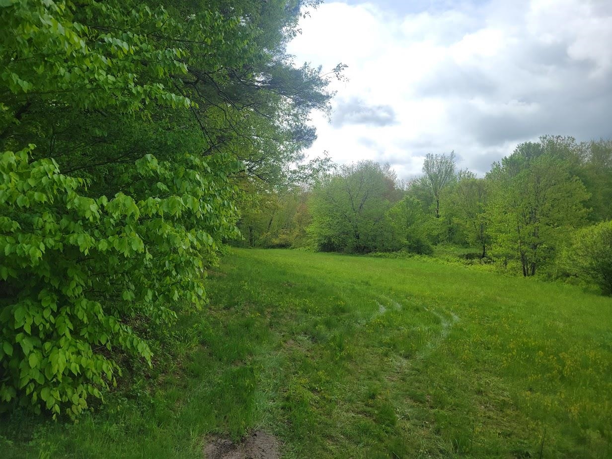 0 Eastern District Road Danbury, NH 03230 - Photo 12 of 13