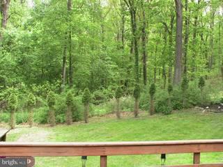 3015 Swamp Road Doylestown, PA 18902 - Photo 6 of 6 a view of a yard with an outdoor space
