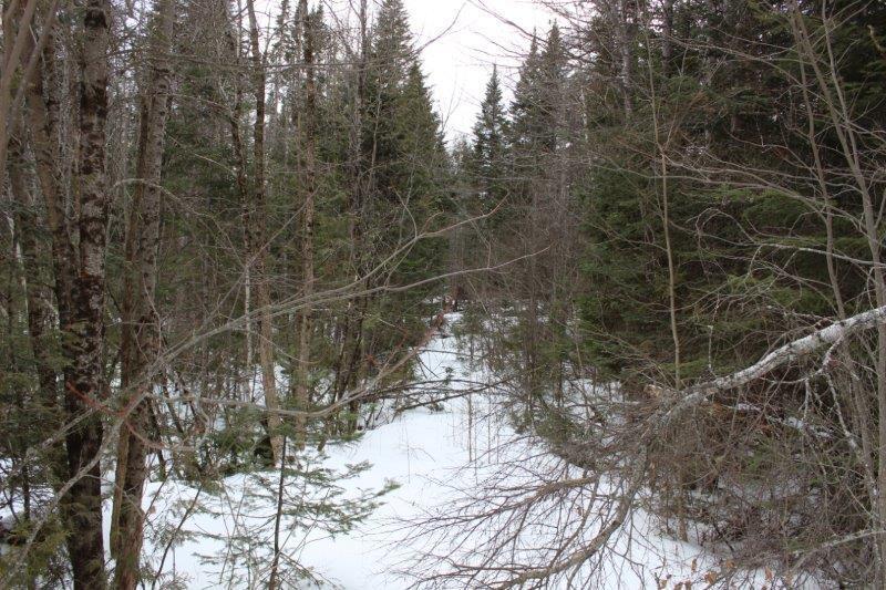 751 Bangor Road Dover-Foxcroft, ME 04426 - Photo 69 of 80 Woods Trail