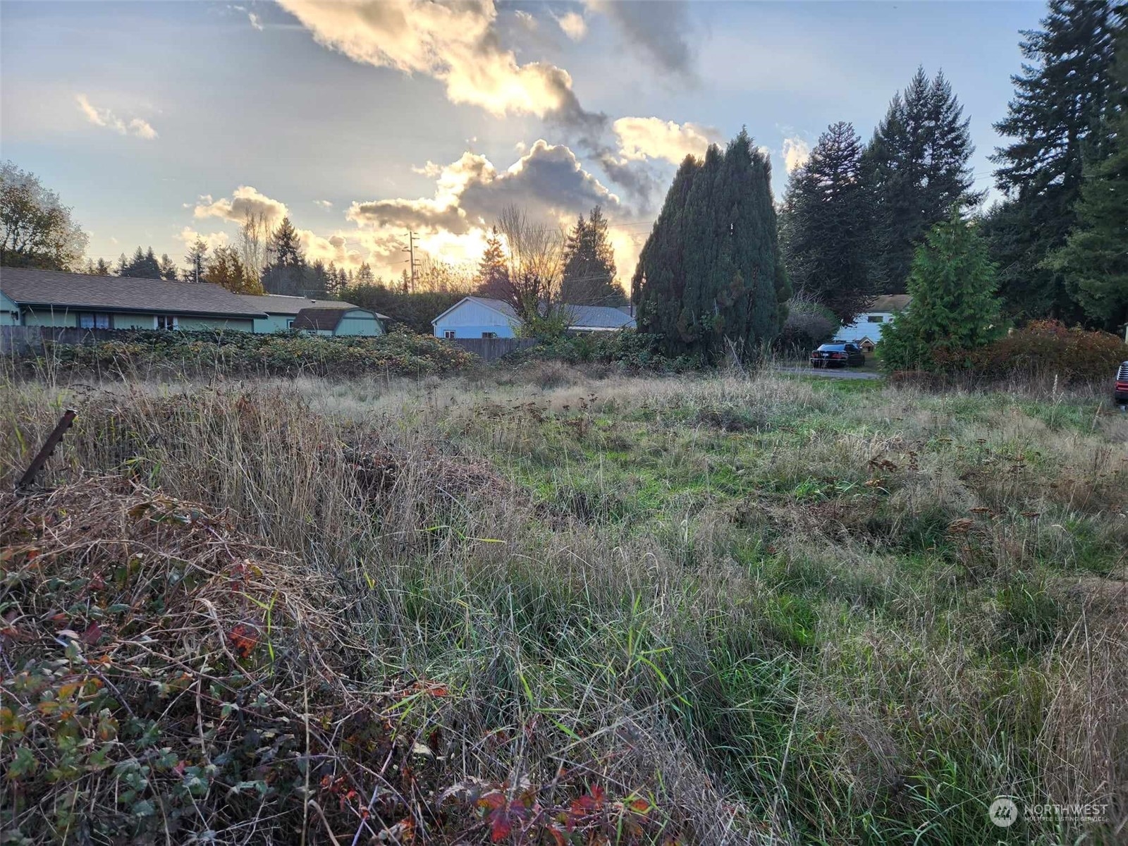 64 Pearl Place Bremerton, WA 98310 - Photo 1 of 8 a view of a yard in a field
