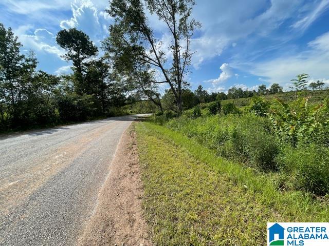 16 County Road, Unit TRACT 1 60 Roanoke, AL 36274 - Photo 3 of 4