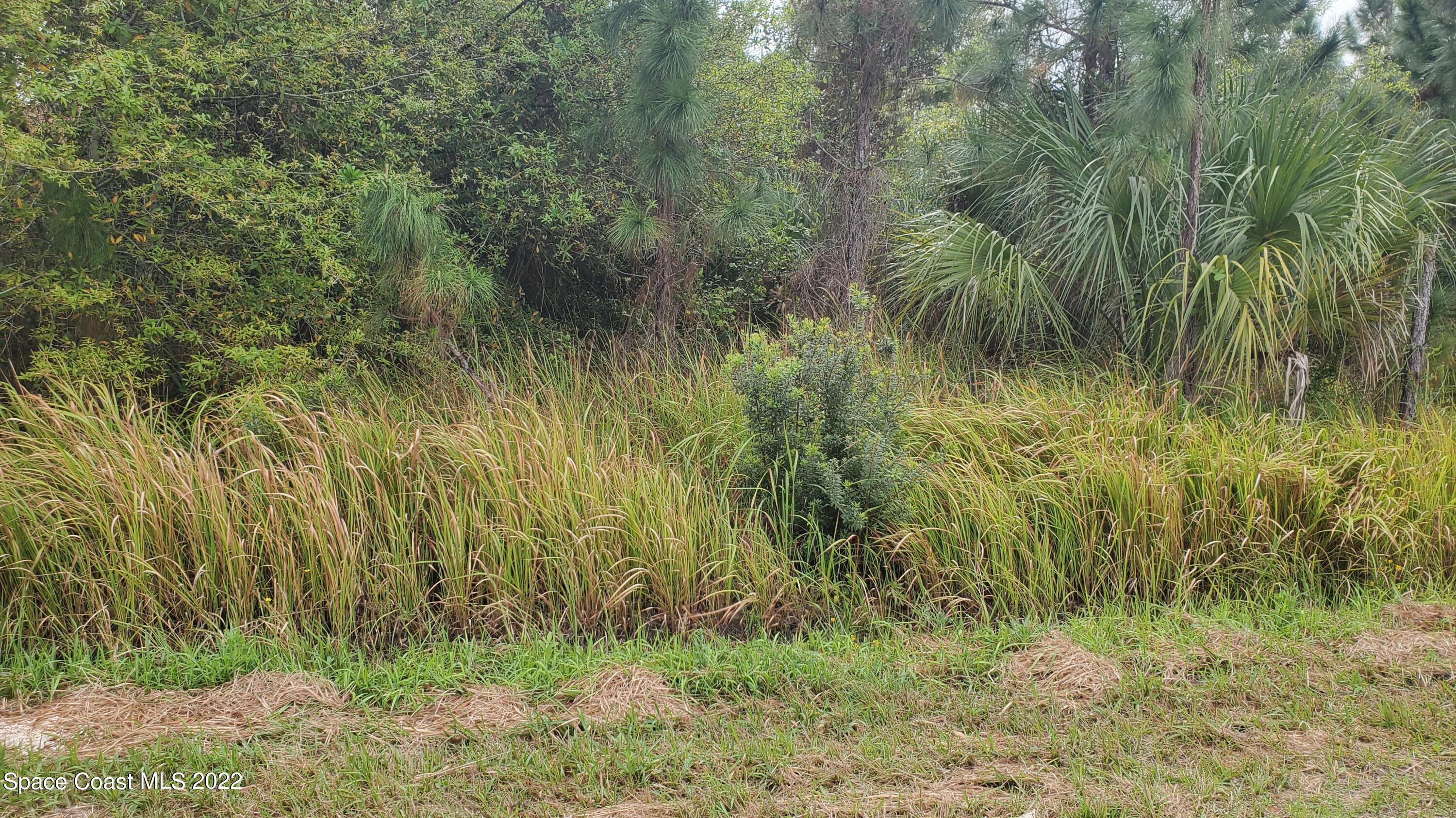 463 Oakmon Road Southwest Palm Bay, FL 32908 - Photo 3 of 3 20220310_095338