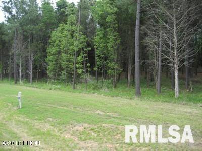 Lot 358 Parrish Ridge Lane Goreville, IL 62939 - Photo 4 of 9