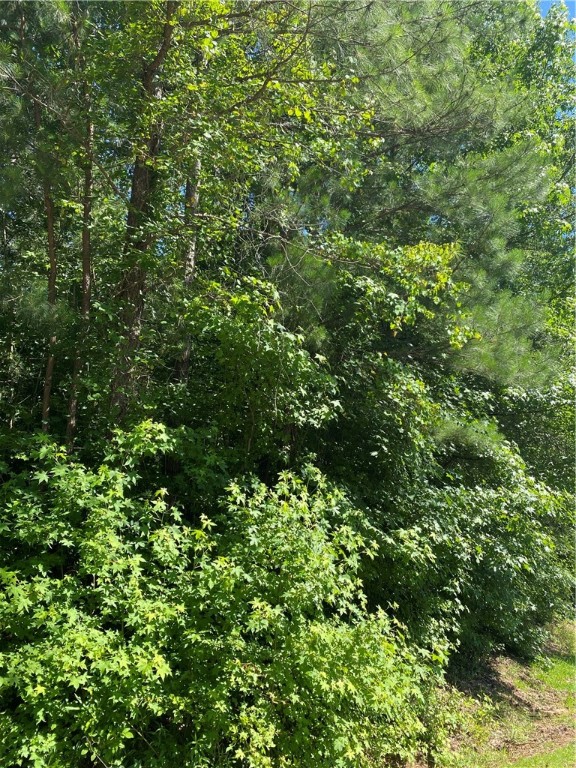 118 Augusta National Anderson, SC 29621 - Photo 3 of 4