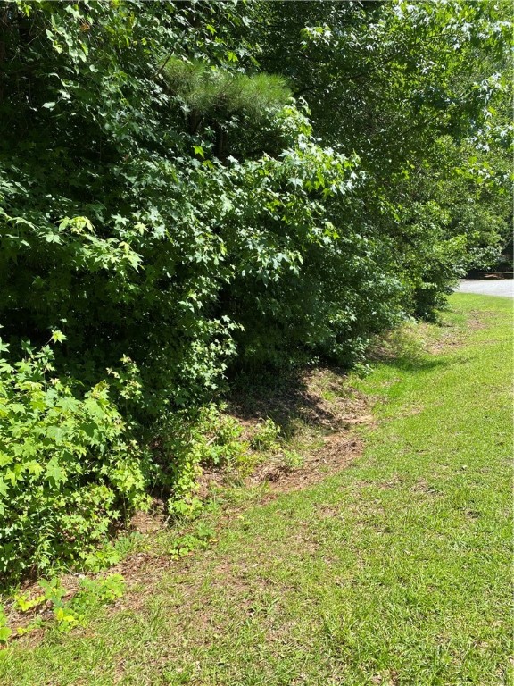 118 Augusta National Anderson, SC 29621 - Photo 4 of 4