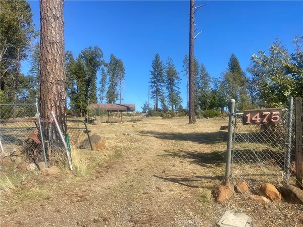a view of a backyard of the house