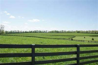 2153 Bethlehem Road Paris, KY 40361 - Photo 17 of 17 Photo 17