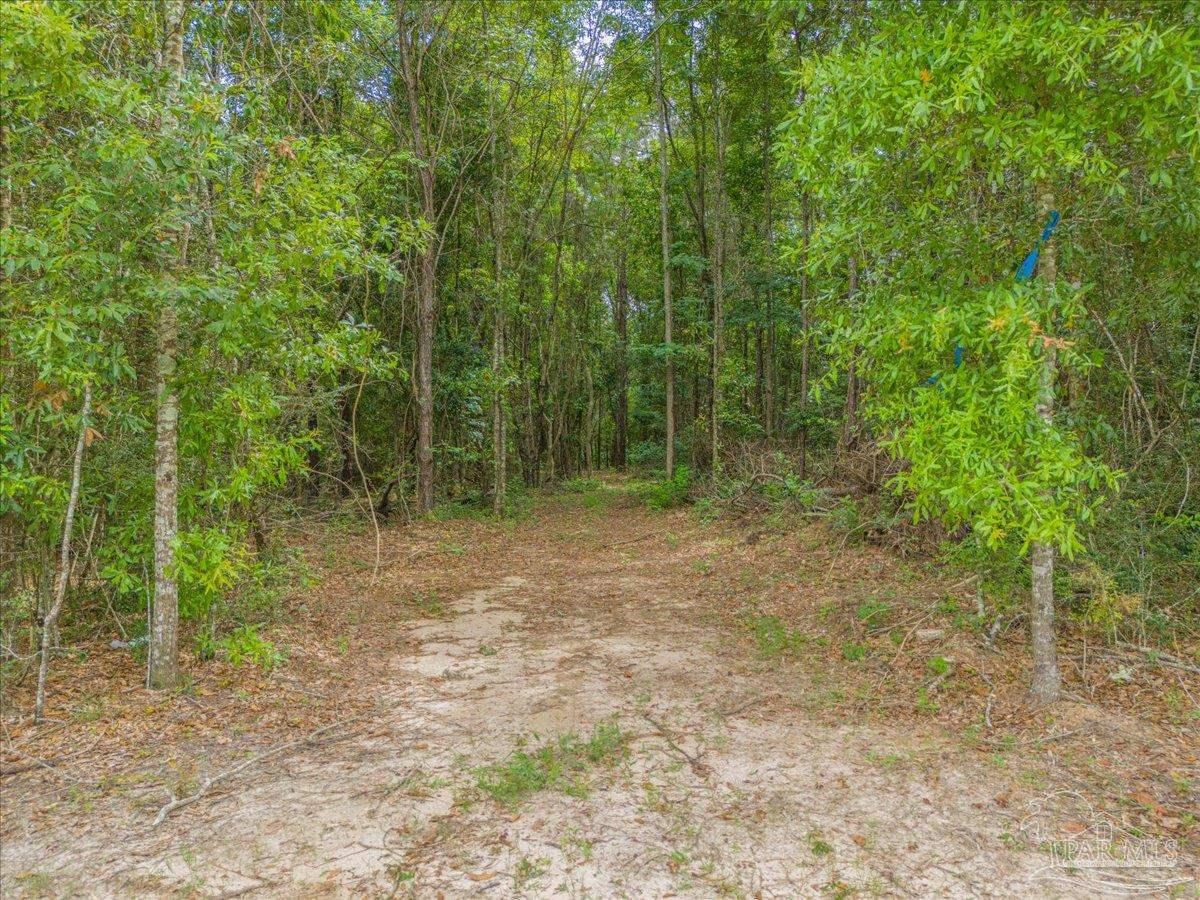 4 Jay Jay, FL 32565 - Photo 15 of 21