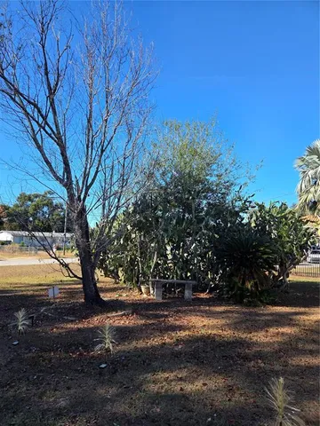 a view of yard with green space