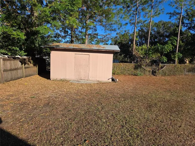 a view of backyard and tree