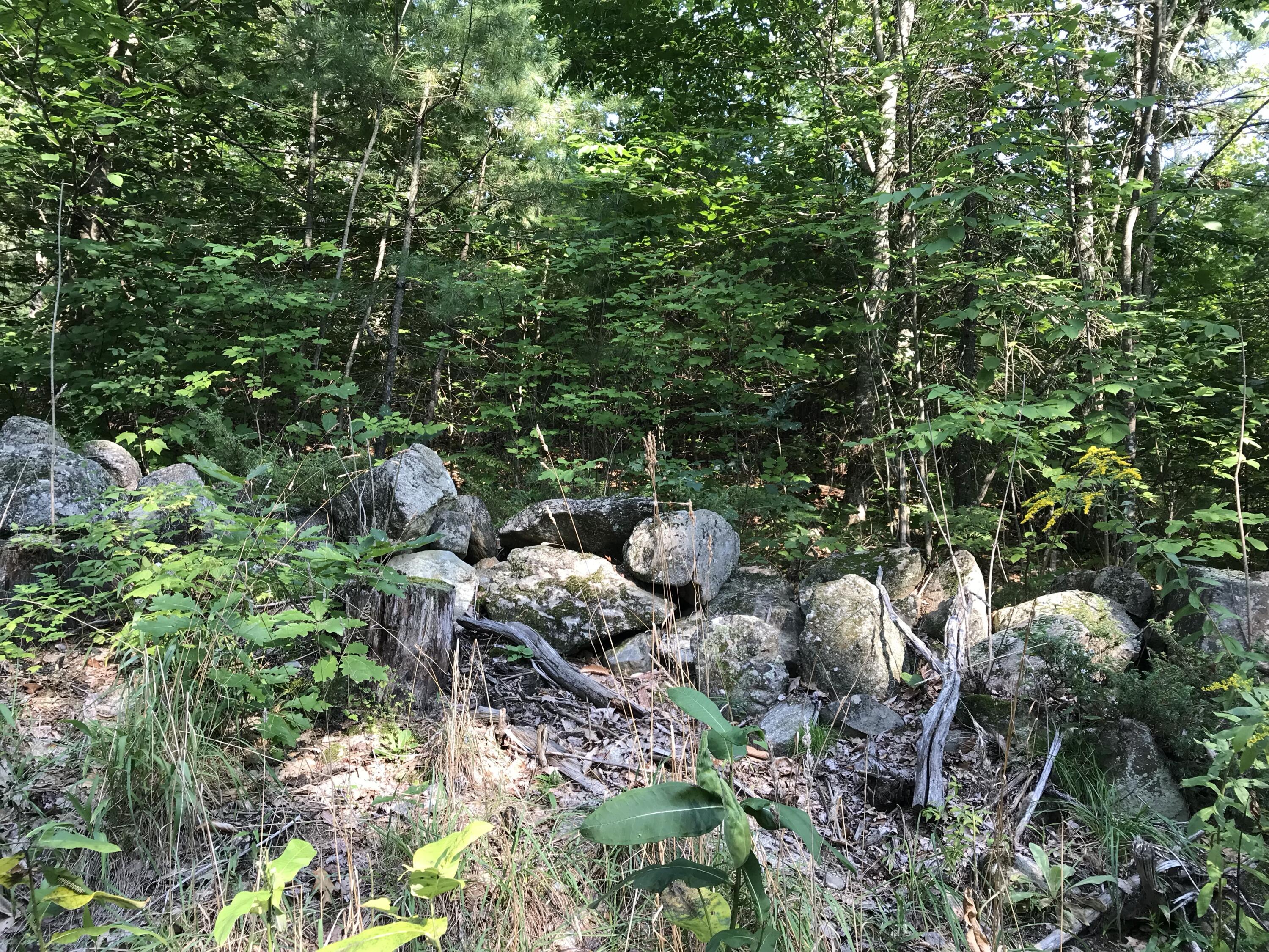0 Manson Way Limington, ME 04049 - Photo 2 of 4 IMG_2559