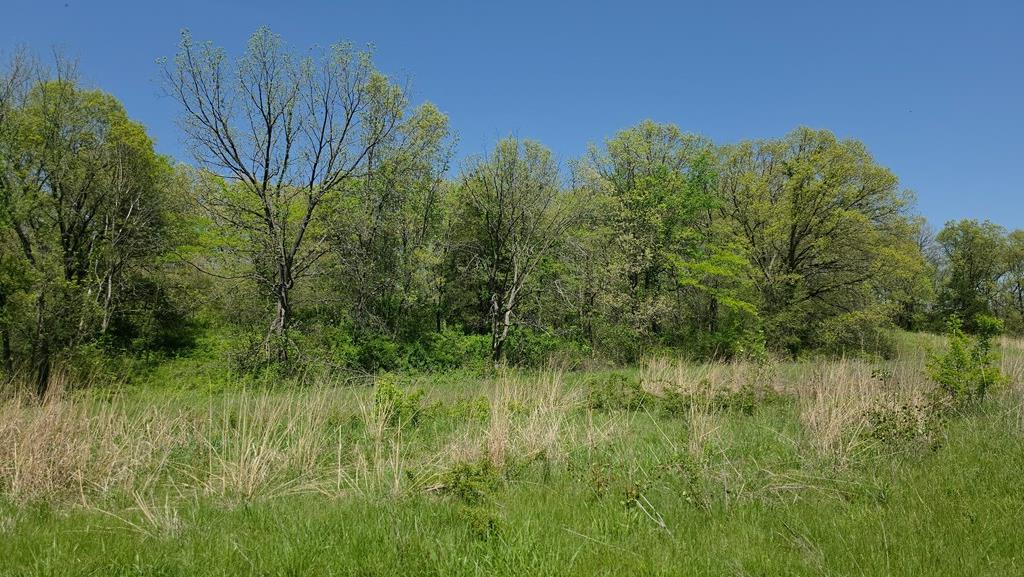 0 Private Road Livonia, MO 63551 - Photo 18 of 81 Gallery Image 18
