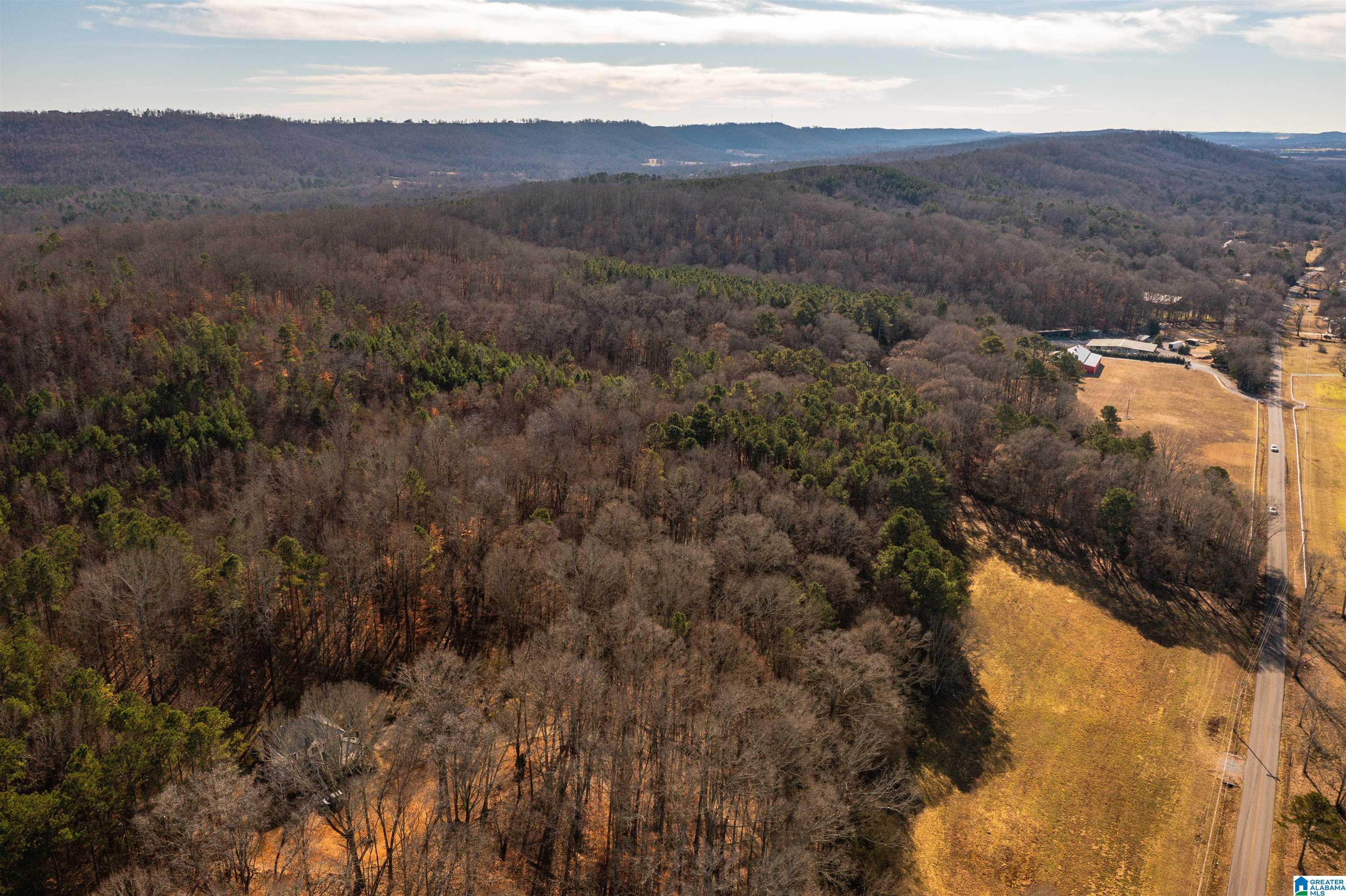 0 Browns Valley Road Guntersville, AL 35976 - Photo 17 of 39