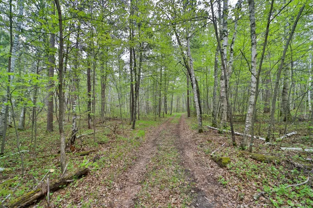 $319,900 | Tbd Wildlife Trail, Pequot Lakes, MN 56472