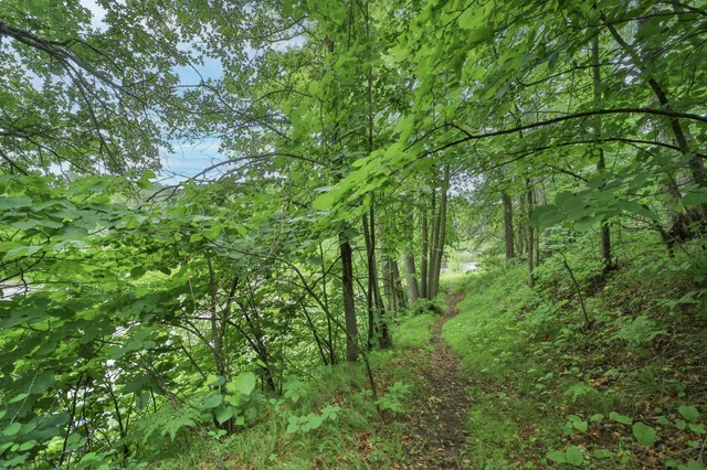 $319,900 | Tbd Wildlife Trail, Pequot Lakes, MN 56472