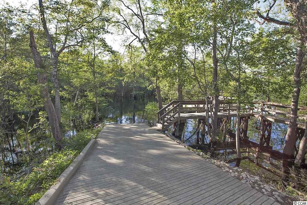 631 Beaver Pond Road Conway, SC 29526 - Photo 22 of 25 Gallery Image 22
