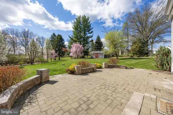 a view of a park with large trees