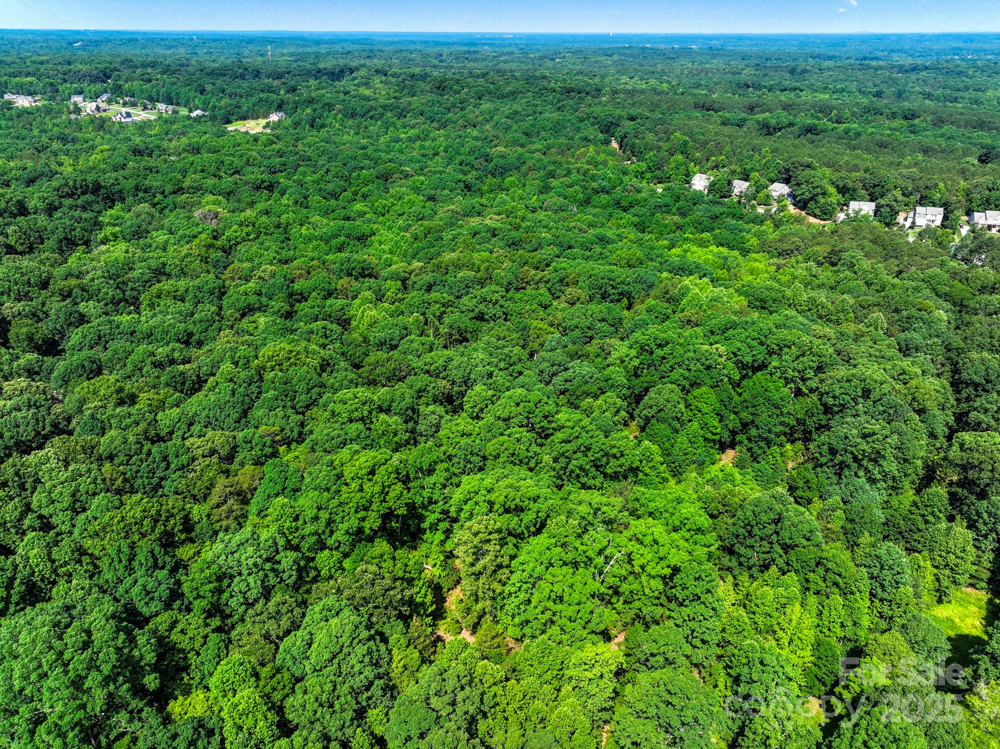 Lot 33 Valley Farm Road, Unit 33 Waxhaw, NC 28173 - Photo 11 of 35 a view of a lush green space with sea