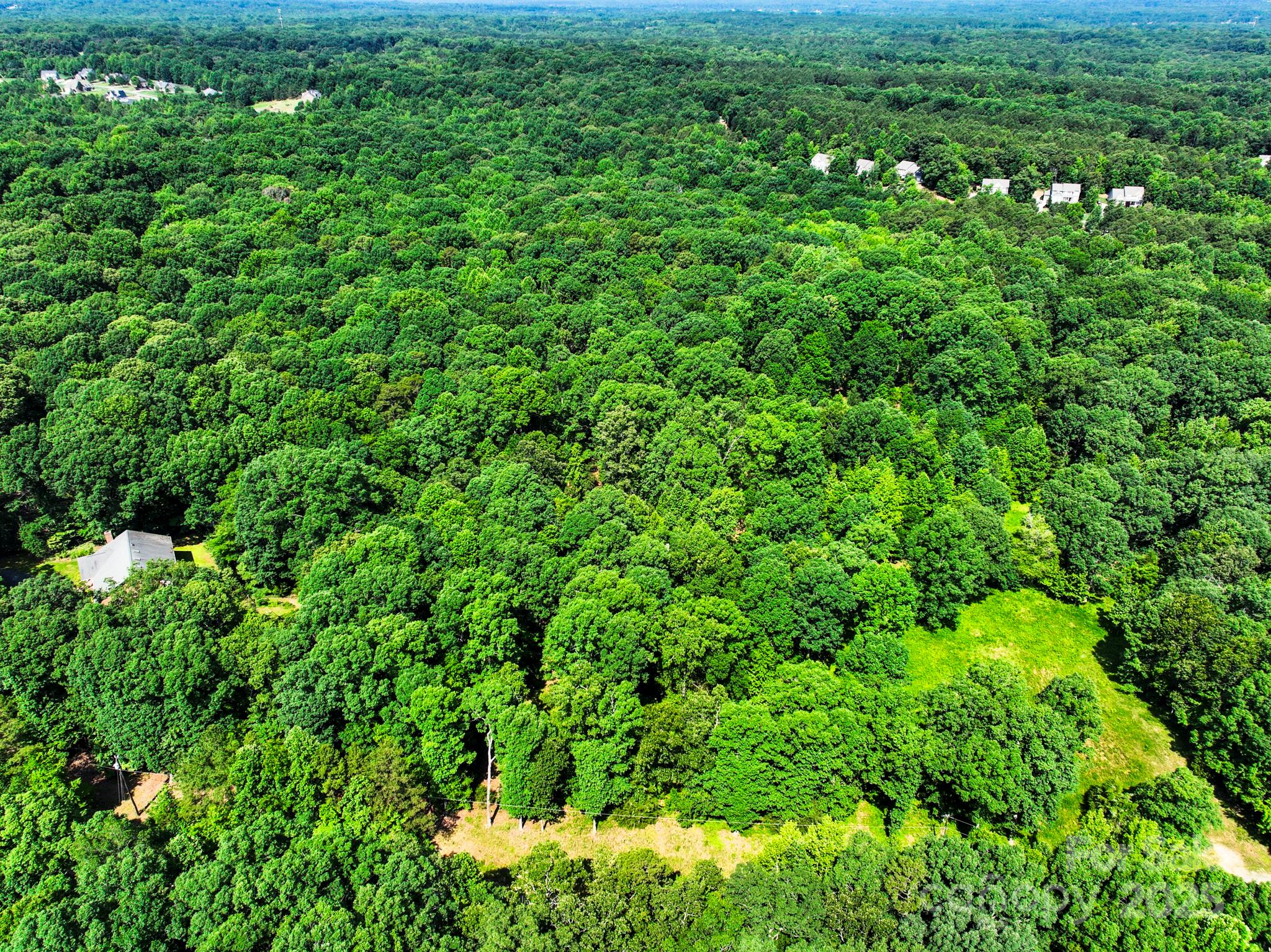 Lot 33 Valley Farm Road, Unit 33 Waxhaw, NC 28173 - Photo 12 of 35 a view of a lush green forest with lots of trees