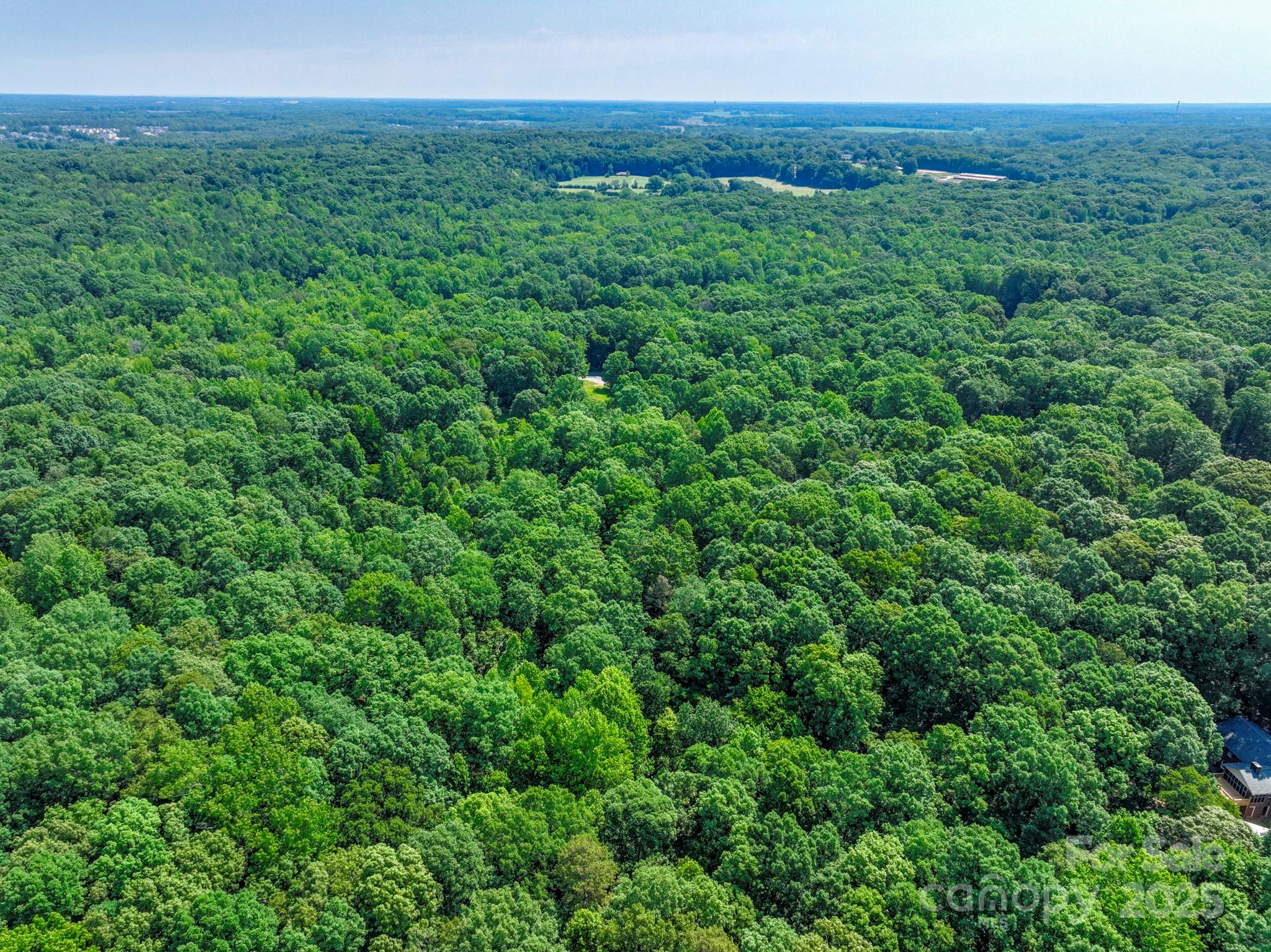 Lot 33 Valley Farm Road, Unit 33 Waxhaw, NC 28173 - Photo 13 of 35 a view of a lush green forest with trees and some houses