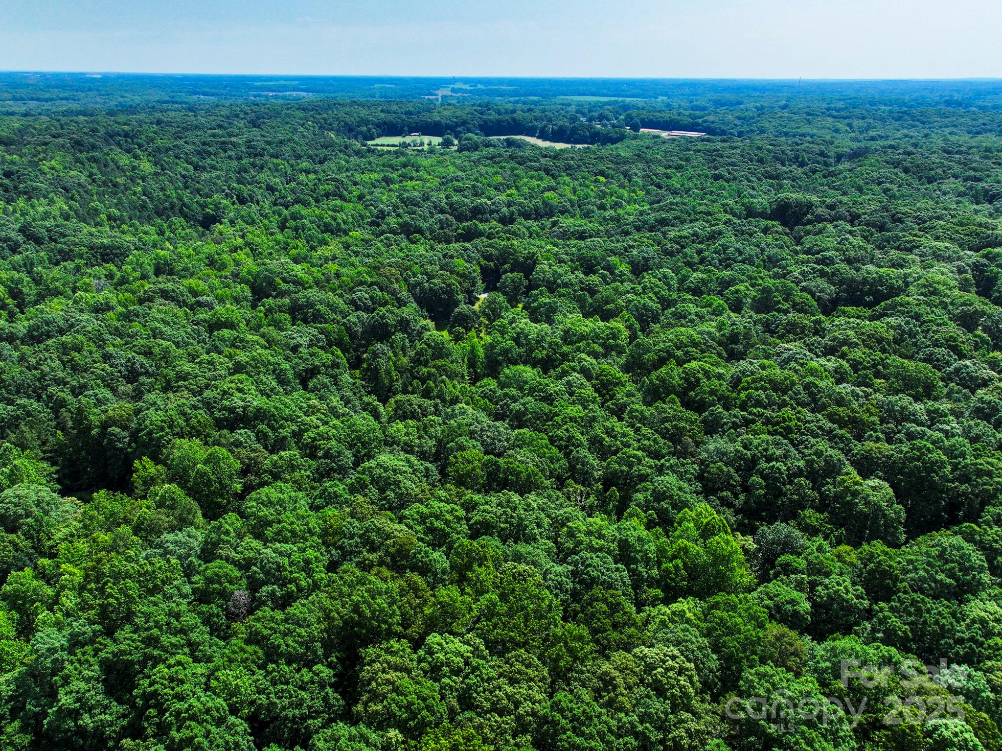Lot 33 Valley Farm Road, Unit 33 Waxhaw, NC 28173 - Photo 14 of 35 a view of a lush green forest with trees and some houses