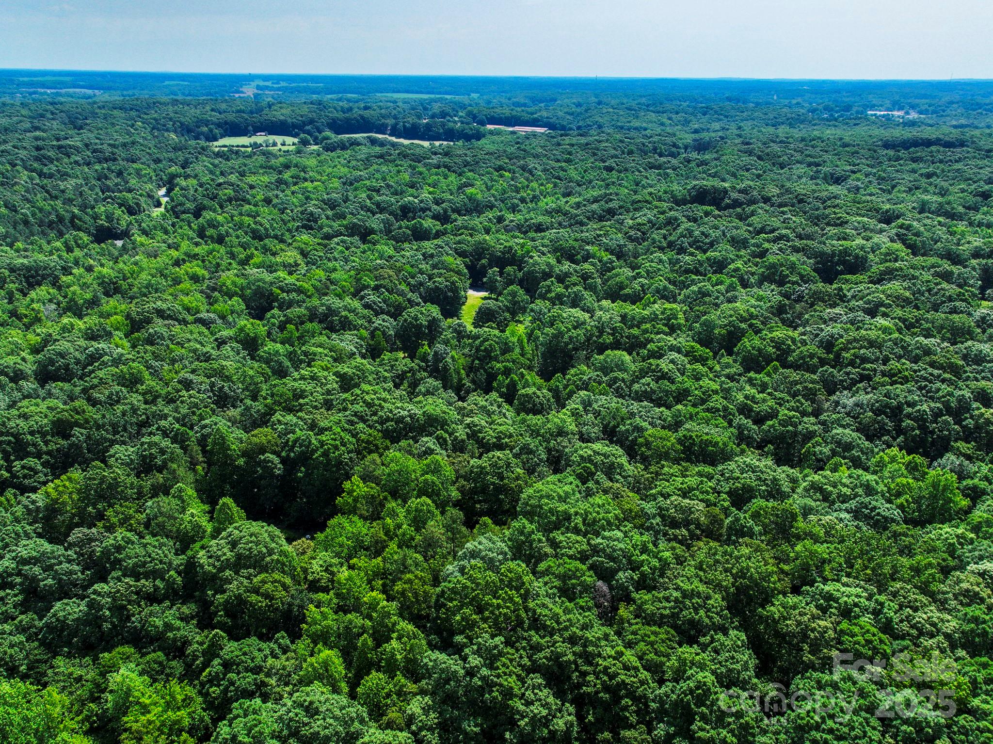 Lot 33 Valley Farm Road, Unit 33 Waxhaw, NC 28173 - Photo 15 of 35 a view of a lush green space