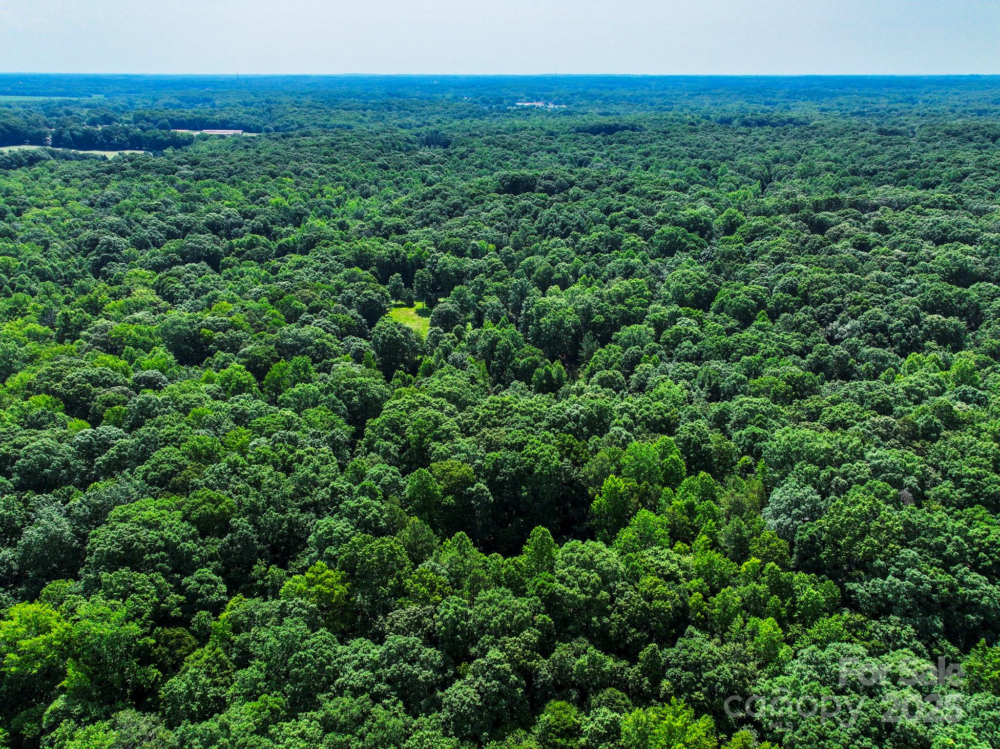 Lot 33 Valley Farm Road, Unit 33 Waxhaw, NC 28173 - Photo 16 of 35 a view of a lush green forest