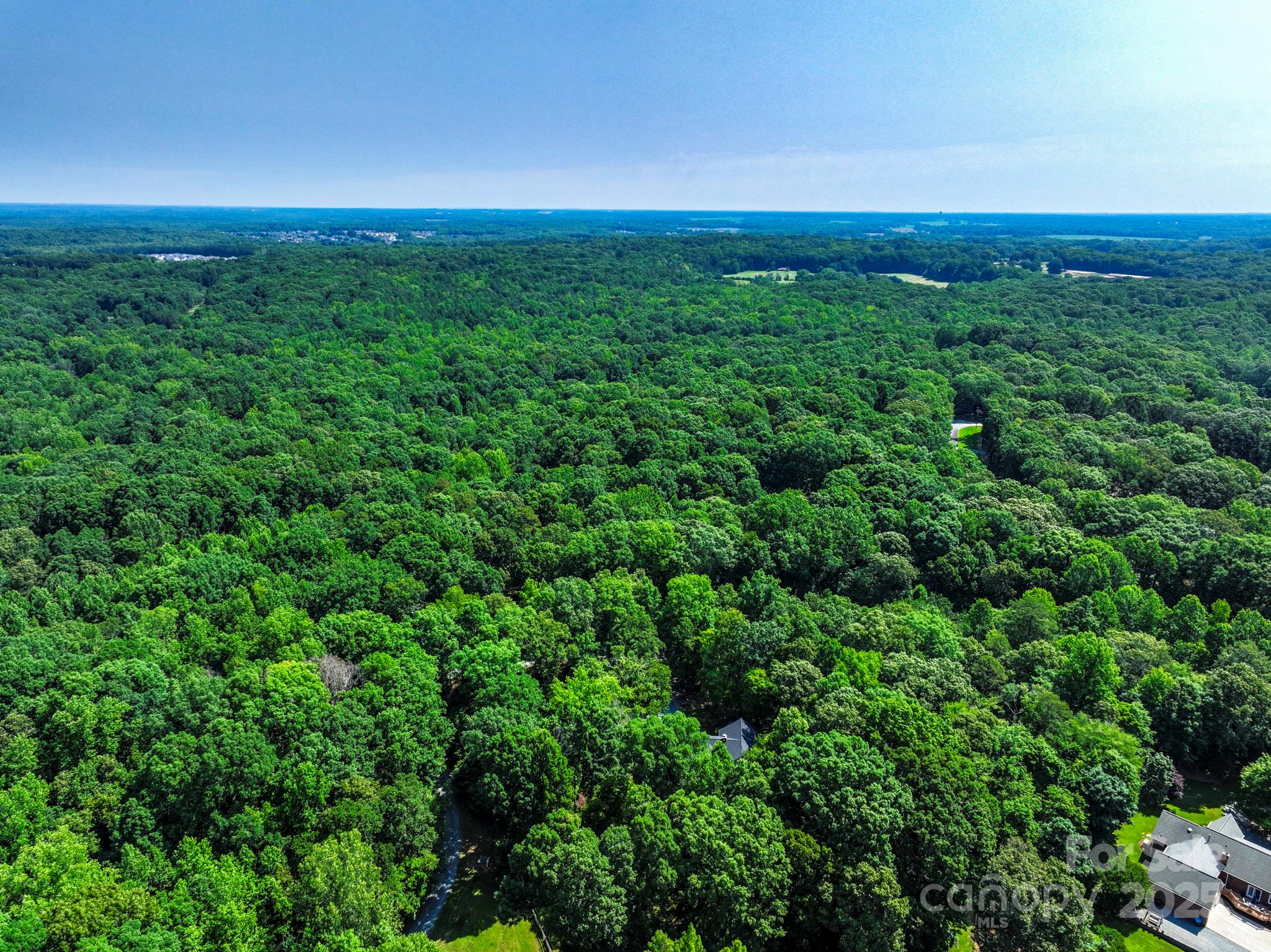 Lot 33 Valley Farm Road, Unit 33 Waxhaw, NC 28173 - Photo 20 of 35 a view of a big yard with plants and large trees