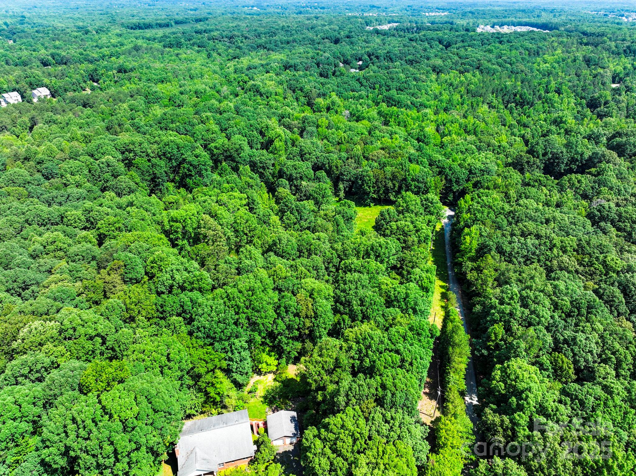 Lot 33 Valley Farm Road, Unit 33 Waxhaw, NC 28173 - Photo 27 of 35 a view of a lush green forest with lots of trees