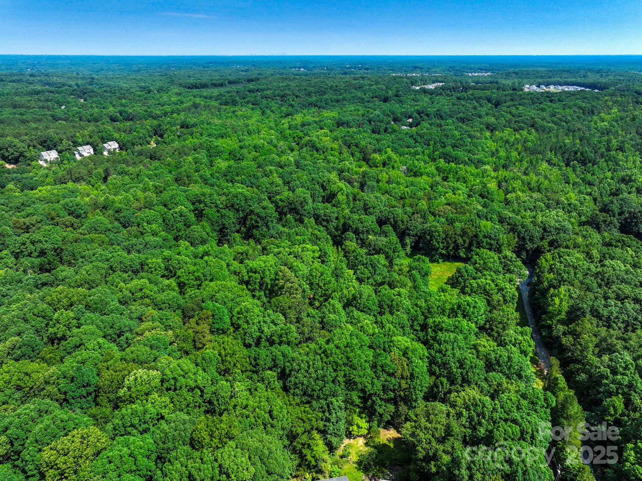 Lot 33 Valley Farm Road, Unit 33 Waxhaw, NC 28173 - Photo 28 of 35 a view of a big yard with a large tree and plants