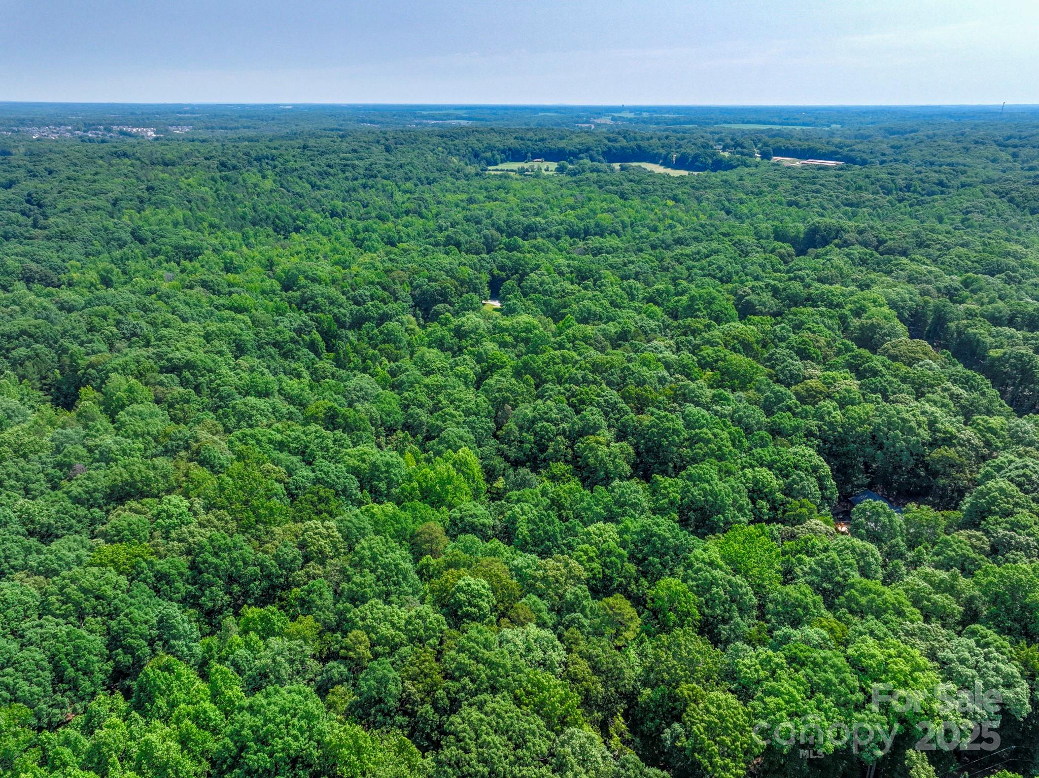 Lot 33 Valley Farm Road, Unit 33 Waxhaw, NC 28173 - Photo 29 of 35 a view of a field of grass and trees