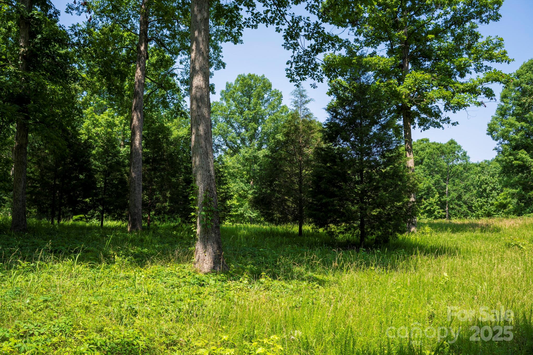 Lot 33 Valley Farm Road, Unit 33 Waxhaw, NC 28173 - Photo 31 of 35 a view of lake background with house