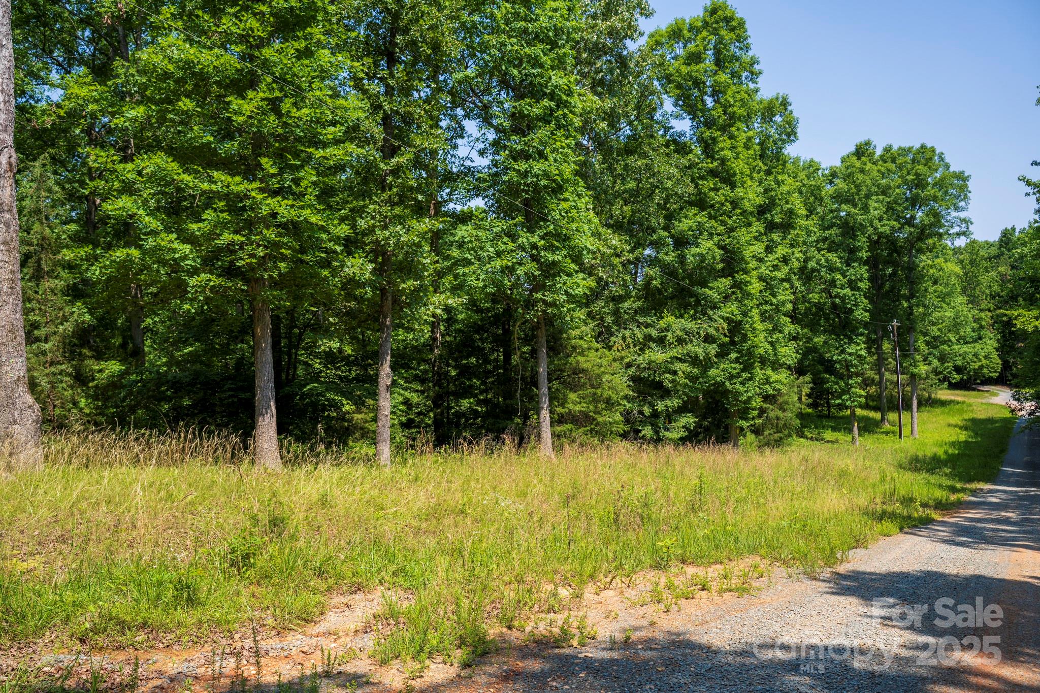 Lot 33 Valley Farm Road, Unit 33 Waxhaw, NC 28173 - Photo 33 of 35 a view of backyard with green space