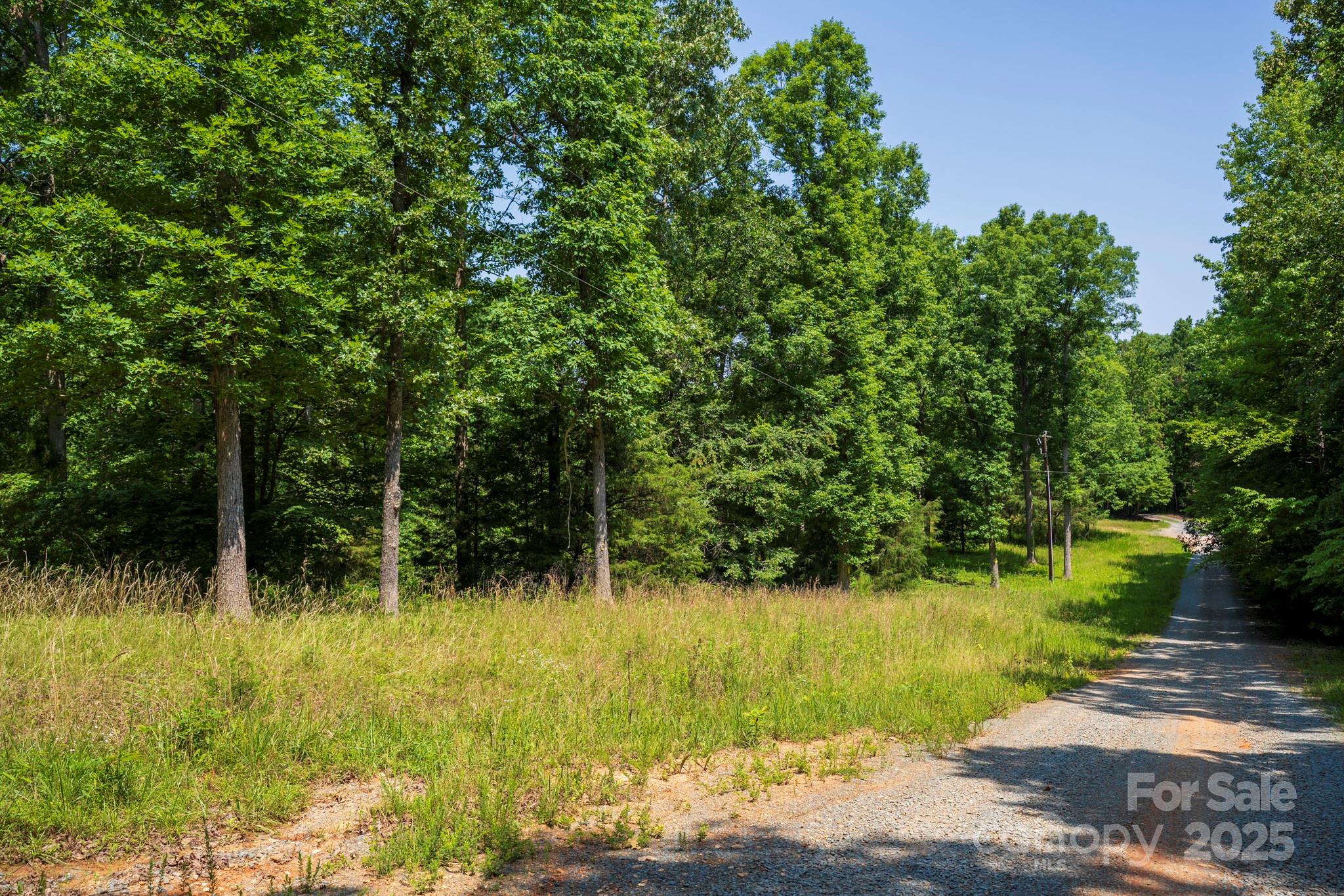 Lot 33 Valley Farm Road, Unit 33 Waxhaw, NC 28173 - Photo 34 of 35 a view of backyard with green space