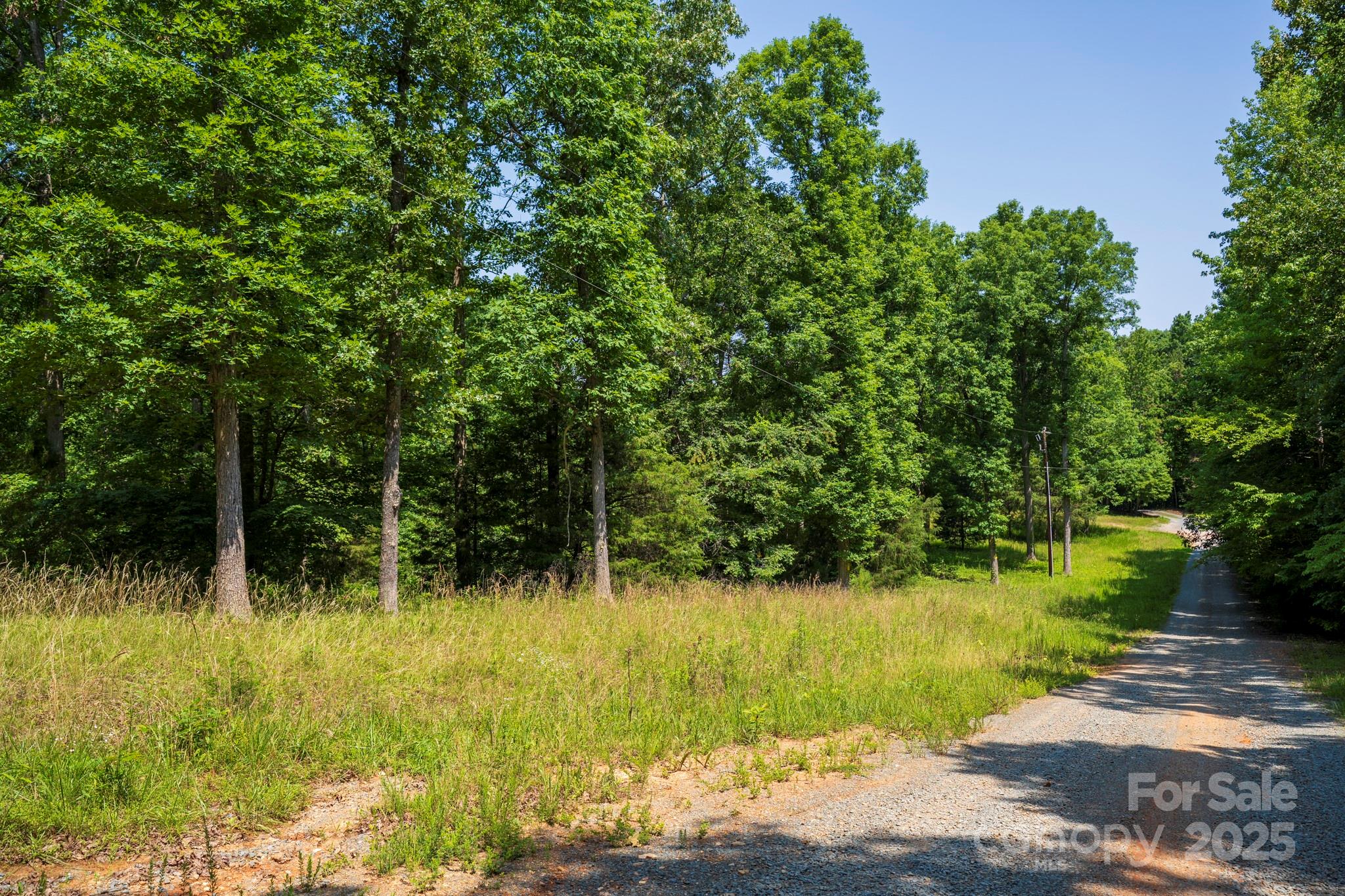 Lot 33 Valley Farm Road, Unit 33 Waxhaw, NC 28173 - Photo 35 of 35 a view of backyard with green space
