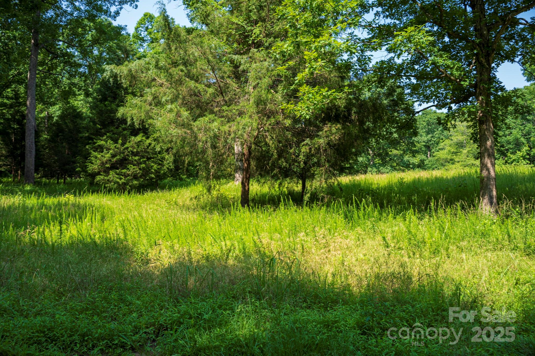 Lot 33 Valley Farm Road, Unit 33 Waxhaw, NC 28173 - Photo 5 of 35 a view of a garden