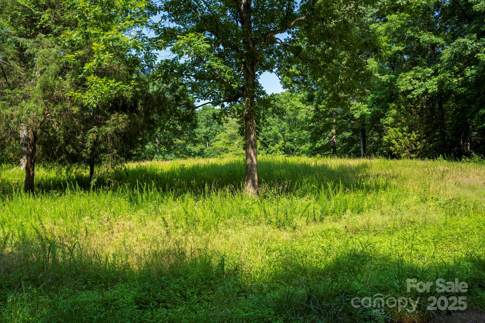 Lot 33 Valley Farm Road, Unit 33 Waxhaw, NC 28173 - Photo 6 of 35 a view of a lake view with a garden
