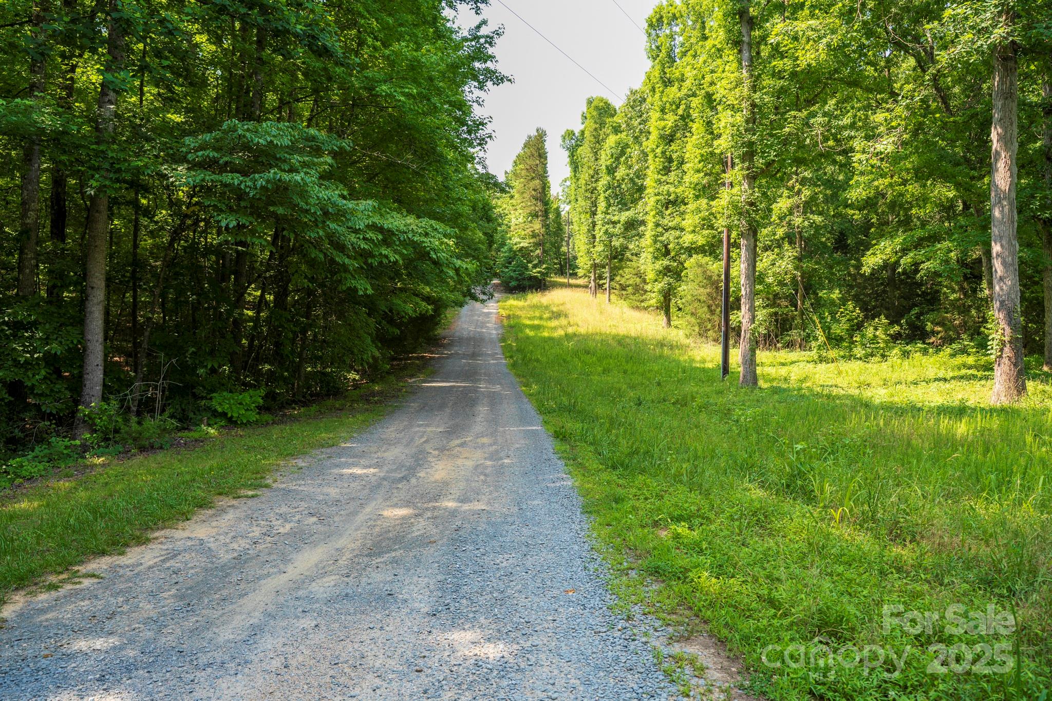Lot 33 Valley Farm Road, Unit 33 Waxhaw, NC 28173 - Photo 7 of 35 a view of a yard with plants and large trees