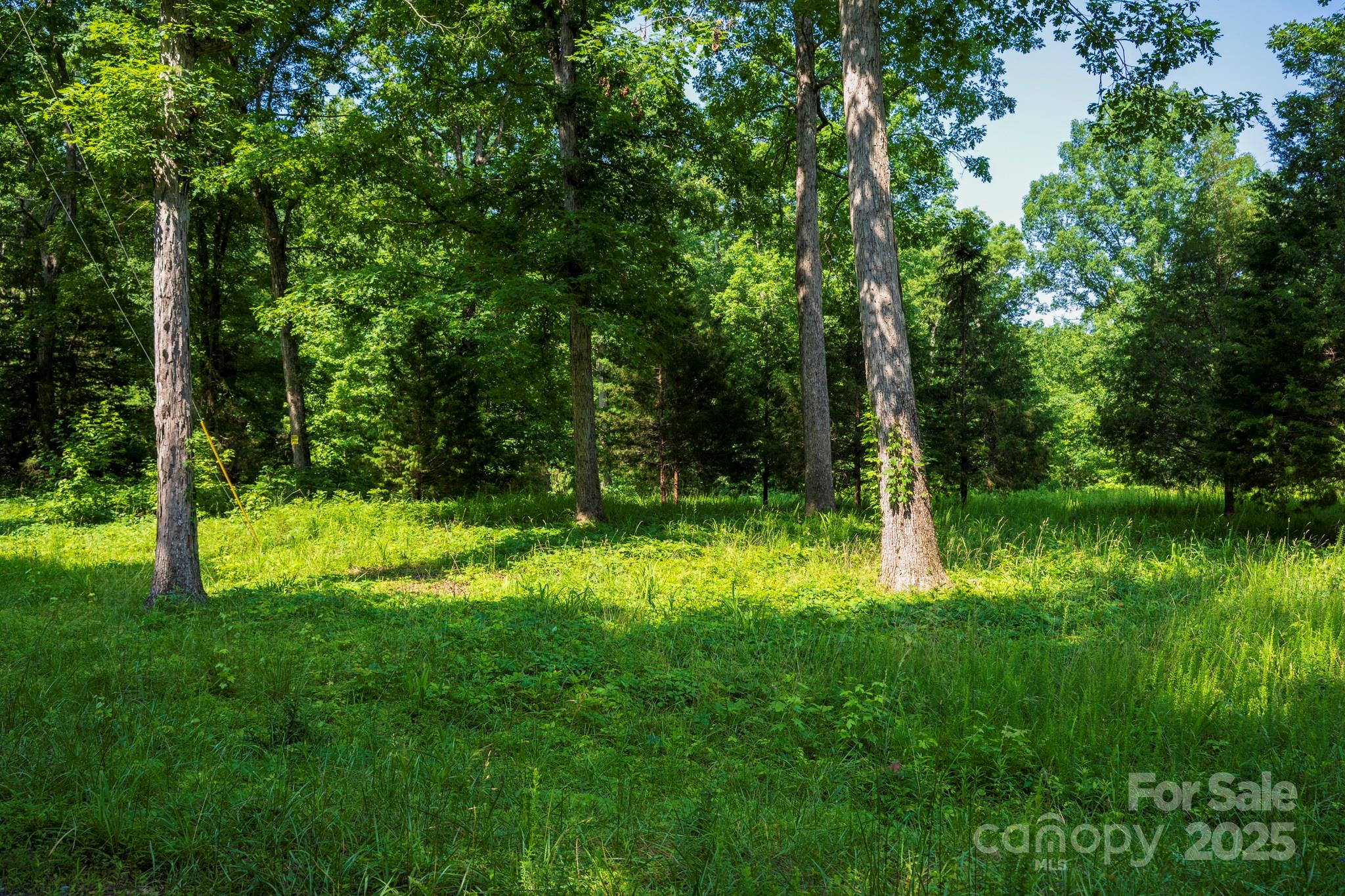 Lot 33 Valley Farm Road, Unit 33 Waxhaw, NC 28173 - Photo 8 of 35 a backyard of a house with lots of green space